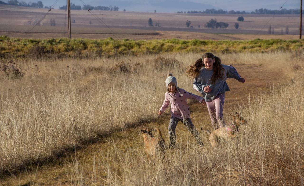 Amohela Ho Spitskop Country Retreat & Conservancy Ficksburg Exteriér fotografie